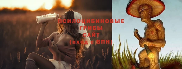 круглые Белокуриха