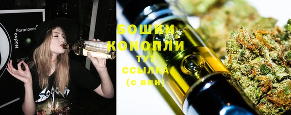 круглые Белокуриха