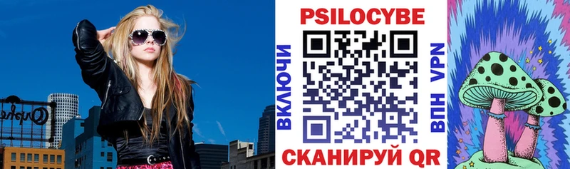 где продают   Воркута  Псилоцибиновые грибы ЛСД 